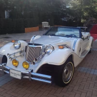 式のあとは、この車でチャペルから披露宴まで移動です♪