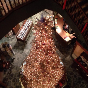 大きなクリスマスツリー|410086さんの高輪プリンセスガルテンの写真(255783)