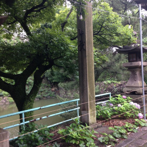 庭園風景|410132さんの小倉城内 八坂神社の写真(256893)