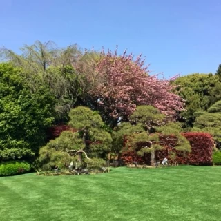 手入れの行き届いた庭園でした。