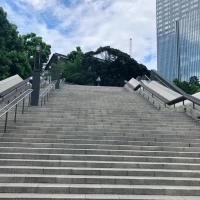 大階段をのぼると神社です。