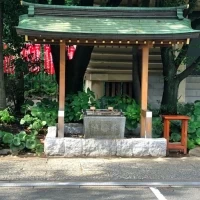 神社らしく情緒あふれる手洗水。