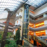 雨天でも楽しめる開放的な館内。