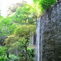 中庭には滝があります。