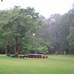 広大な敷地は、自然公園のようになっています。|410134さんの二期倶楽部 観季館の写真(624325)