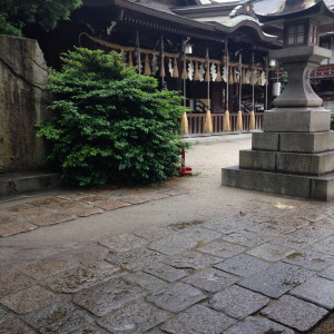 神前式の会場の本殿|411032さんの小倉城内 八坂神社の写真(258805)