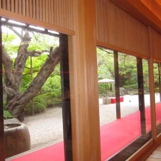 披露宴会場から見るお庭