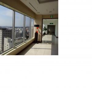 フラワーシャワーを行う廊下|411585さんのホテル日航姫路の写真(319297)