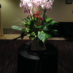 控え室のお花|413330さんの久留米 萃香園ホテルの写真(269434)