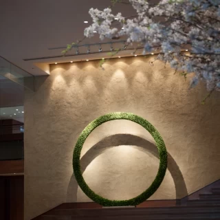 桜が綺麗で圧巻です