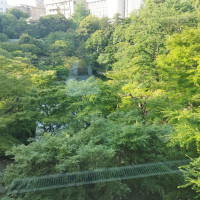 窓から見える緑いっぱいの庭園