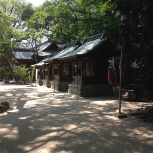 庭園|415580さんの住吉神社(博多)の写真(277138)