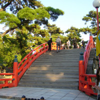 晴れる日に太鼓橋の前