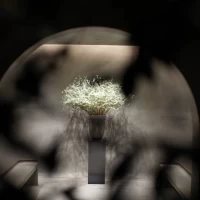 写真が趣味だから楽しくなってしまいました