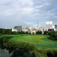 上野公園・不忍池が見えるパークビュー。虹がかかっていた。
