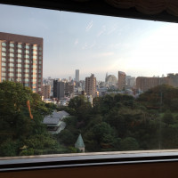 窓からの景色、新宿の街並みもみえる