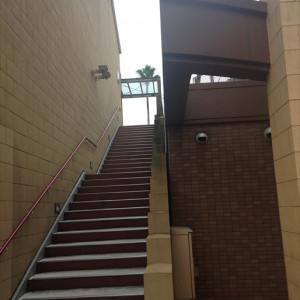 写真撮影場への階段|420299さんのMARIERA(クルーズスタイルウエディング)の写真(295795)