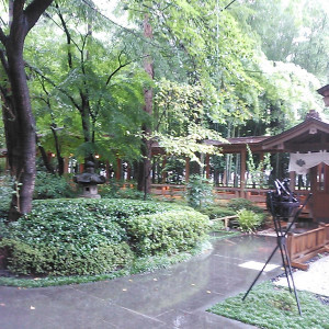 100年の歴史ある庭園|420739さんのSHOZANKAN（仙台 勝山館）の写真(300062)
