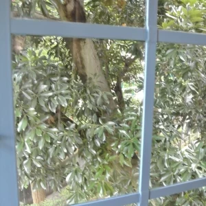 青い窓が「思い出のマーニー」みたい|422271さんの山手西洋館 ベーリックホール(チアーズブライダルプロデュース)の写真(302908)