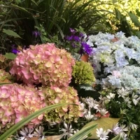 お花は自然死たくさん咲いています