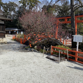 神社の庭