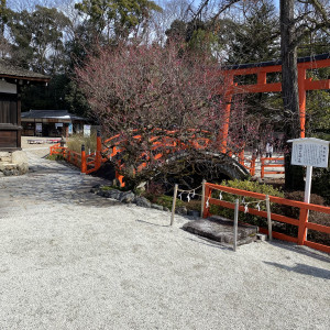 神社の庭|423392さんの下鴨神社の写真(1467453)