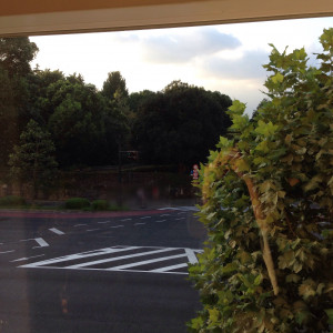 披露宴会場、窓から見える緑|423527さんのホテルモントレ赤坂の写真(418436)