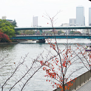ガーデンからは紅葉の眺めが見られるようになるはず|423633さんのRiver Suite OSAKA（リバースイート大阪）（ウエディング取扱終了）の写真(304687)