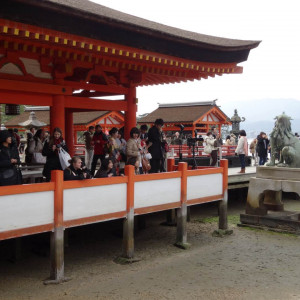 写真撮影を見る観光客の方|423645さんの厳島神社の写真(304822)