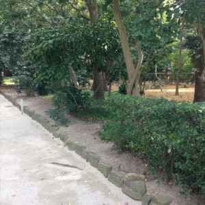 庭園風景|426324さんの筥崎宮ブライダル清明殿の写真(314417)
