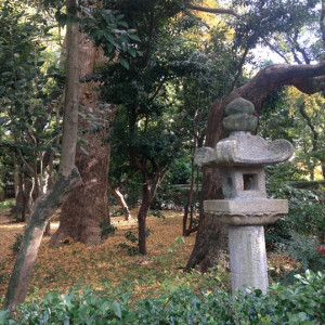 庭園風景2|426324さんの筥崎宮ブライダル清明殿の写真(314418)