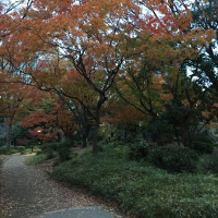 会場前の公園です