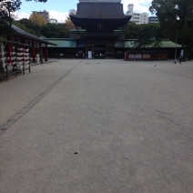 ユーザー写真 画像 庭 ガーデン 筥崎宮 ウエディングパーク