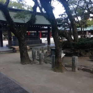 庭園|426809さんの筥崎宮の写真(317106)