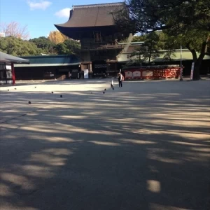 外観1|426809さんの筥崎宮の写真(317067)