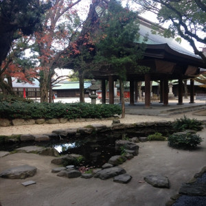 庭園|426809さんの筥崎宮の写真(317102)