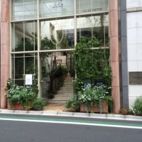 会場入り口のグリーンがステキです