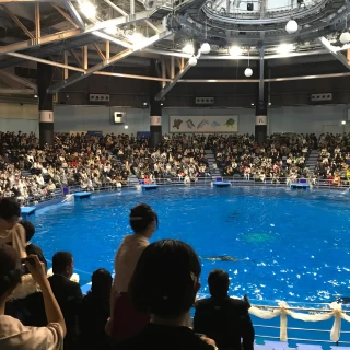 イルカ前式の会場です。