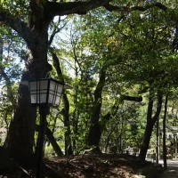 日本庭園