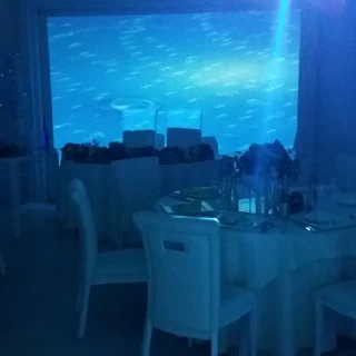 光の演出