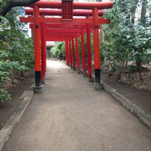 ガーデン3|437178さんの住吉神社(博多)の写真(354184)