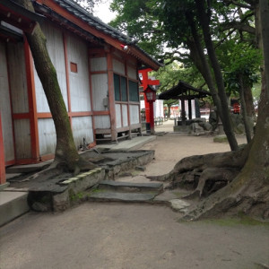 中庭|437178さんの住吉神社(博多)の写真(354188)