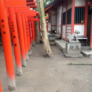 庭園|437178さんの住吉神社(博多)の写真(354186)