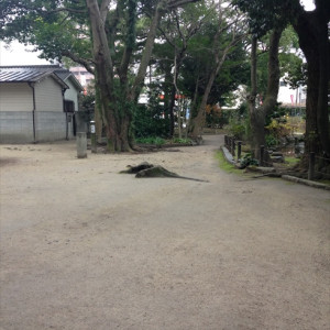 ガーデン1|437178さんの住吉神社(博多)の写真(354182)