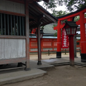 ガーデン風景|437178さんの住吉神社(博多)の写真(354189)