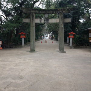 参道|437178さんの住吉神社(博多)の写真(354168)