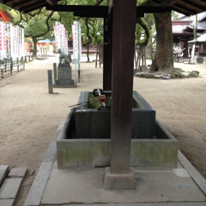 中庭|437178さんの住吉神社(博多)の写真(354190)