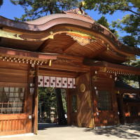 挙式する神社の門