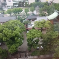 全体風景