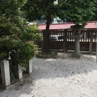 中庭1